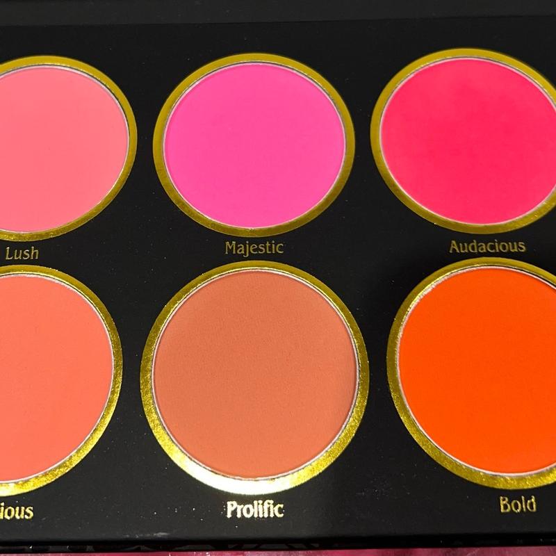 Be Bold Powder Blush Palette  NEW AND IMPROVED ( Create your own custom shadde by mixing colors, apricot, tangerine, watermelon,fushia, coral) all in one blush palette Cosmetic Makeup