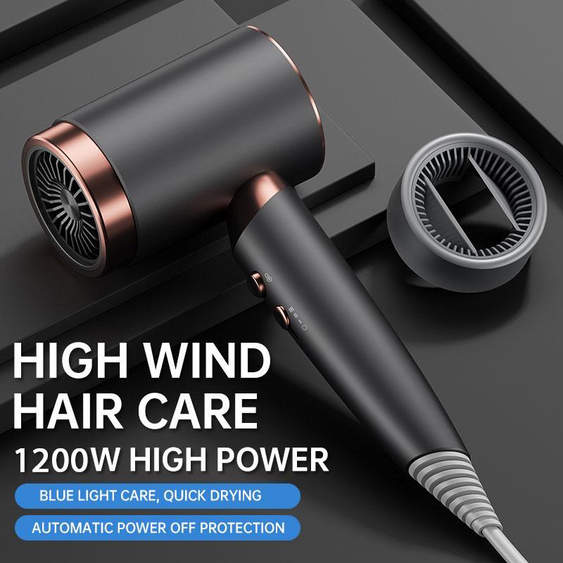 Professional Low Noise Hair Dryer, 1 Count Intelligent Constant Temperature Control Hair Care Blow Dryer, Hair Styling Tool for Home & Salon Use, Christmas Gift