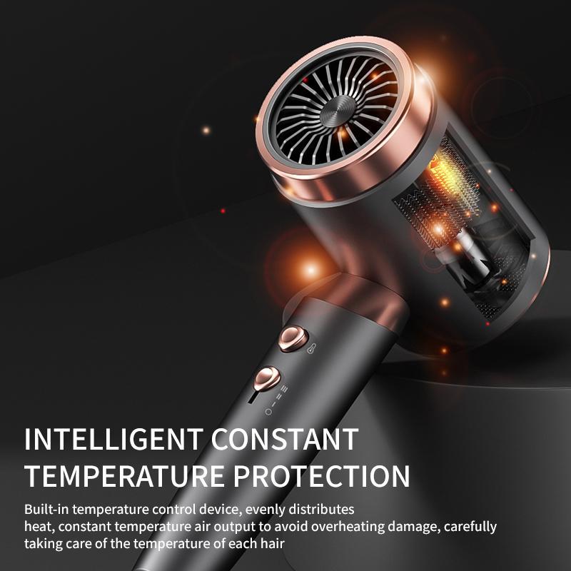 Professional Low Noise Hair Dryer, 1 Count Intelligent Constant Temperature Control Hair Care Blow Dryer, Hair Styling Tool for Home & Salon Use, Christmas Gift