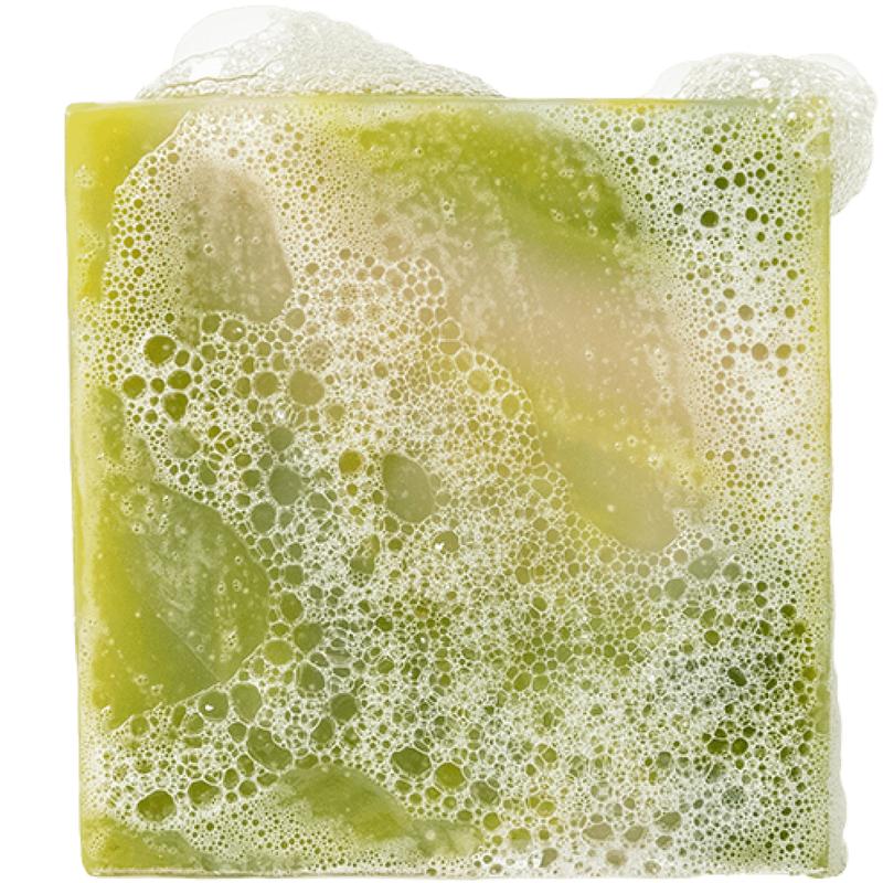 Dr. Squatch - Cool Fresh Aloe Bar Soap - Body Care for Men