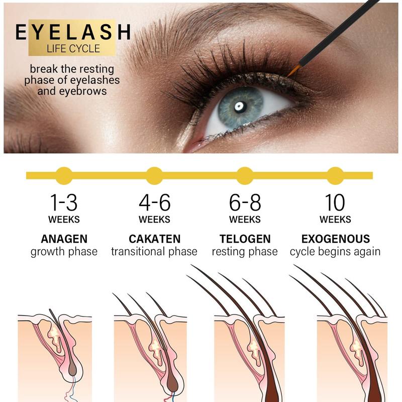 Fashion Eyelash Thickening Essence, 1 Count Eyelash Moisturizing & Smoothing Eyelash Essence, Eyelash Care Products