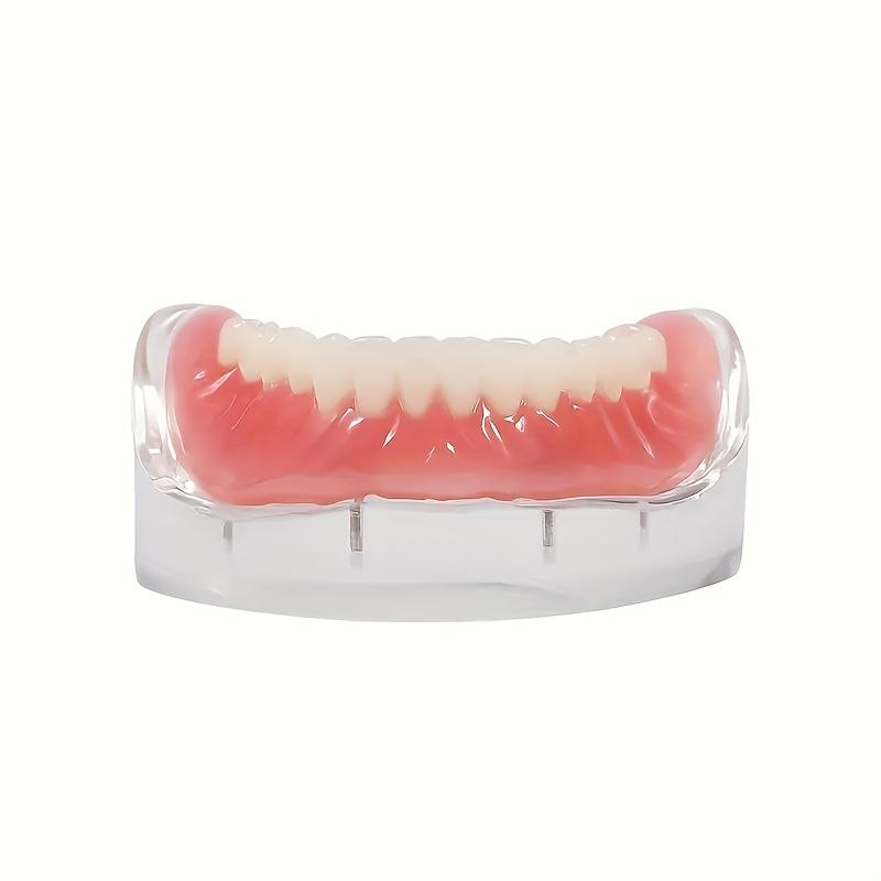 Comfortable Fit Adjustable Dentures Suit-2 Piece Set, Upper and Lower Teeth, Perfect White Veneer to Create a Professional Smile